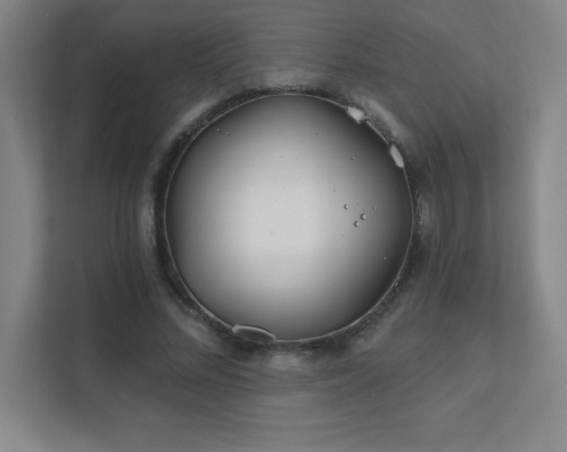 X0000111790684200907231143