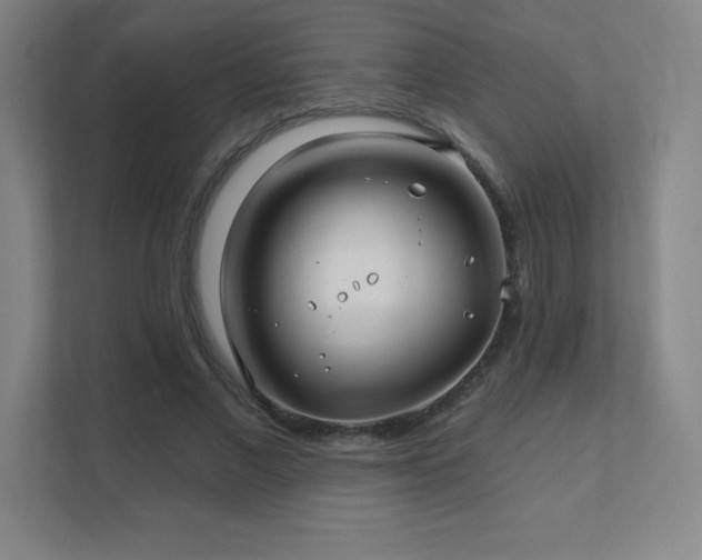 X0000111790685200907231143