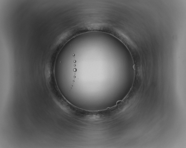 X0000111790687200907231143