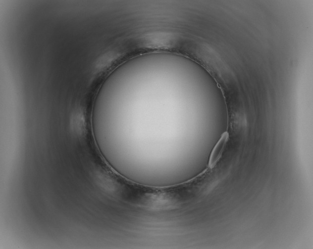 X0000111790688200907231143