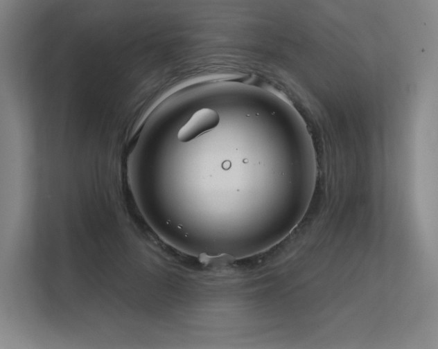 X0000111790696200907231143