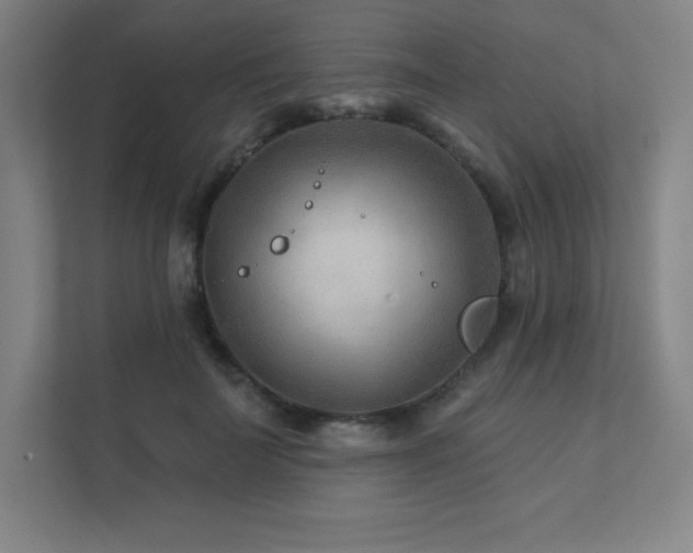 X0000111790699200907231143