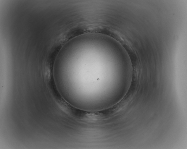 X0000111790703200907231143