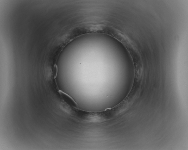 X0000111790704200907231143