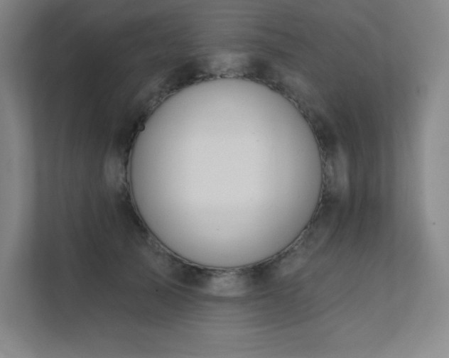 X0000111790705200907231143