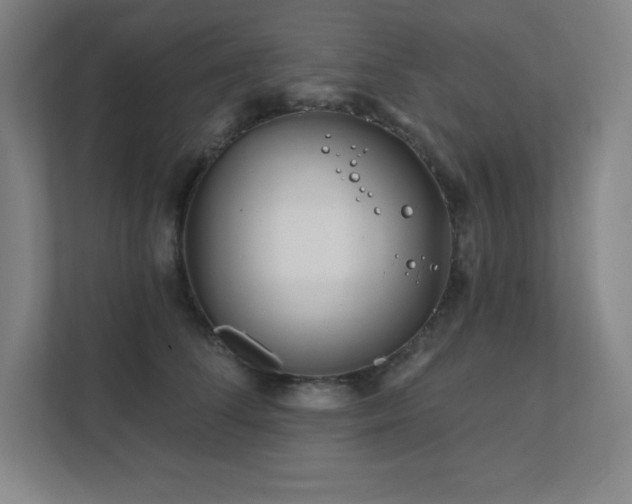 X0000111790708200907231143