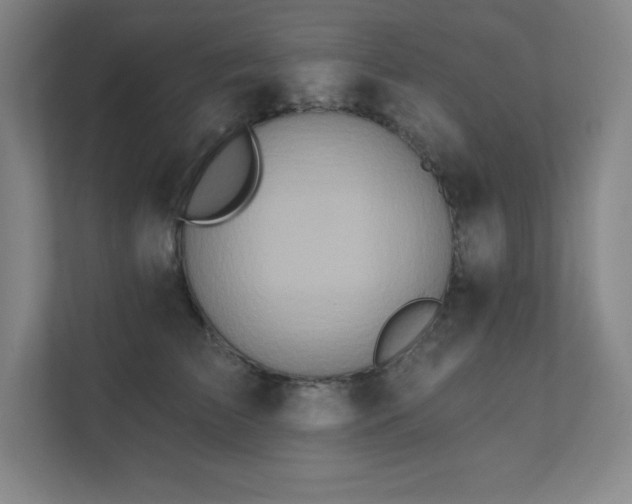 X0000111790709200907231143