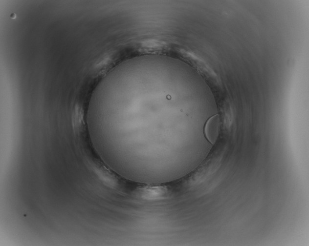 X0000111790711200907231143