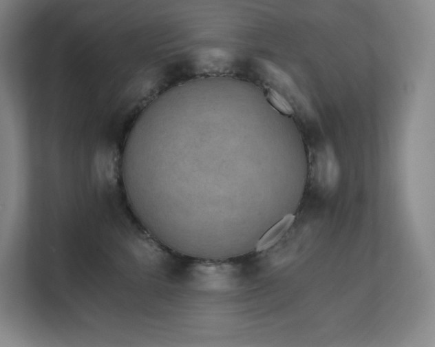 X0000111790712200907231143