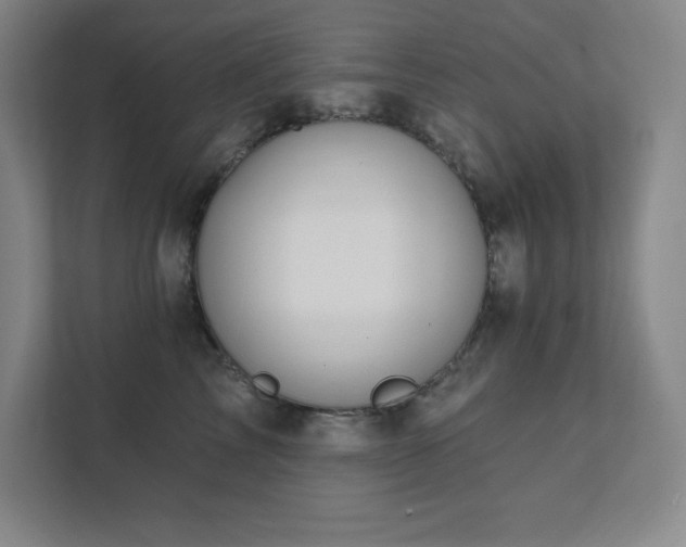 X0000111790713200907231143