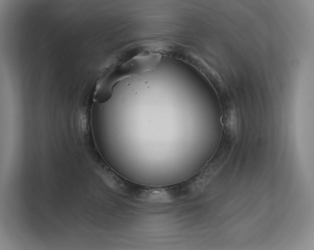 X0000111790715200907231143