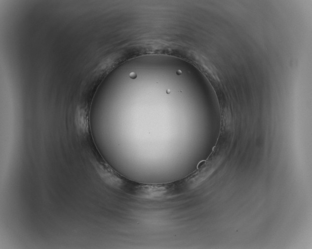 X0000111790719200907231143