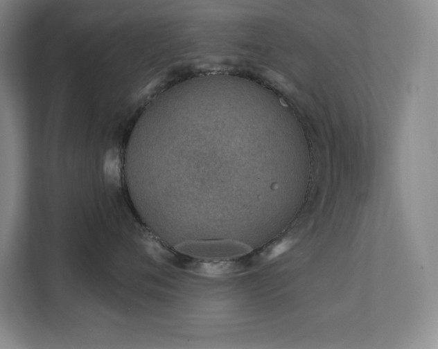 X0000111790720200907231143