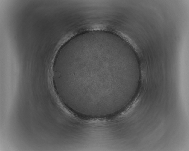 X0000111790721200907231142