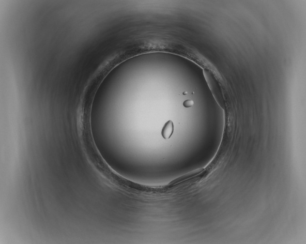 X0000111790722200907231142