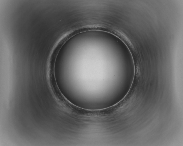 X0000111790724200907231142