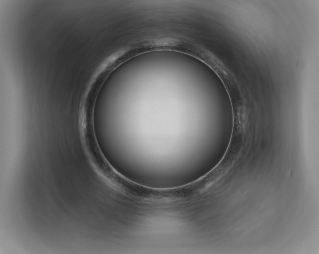 X0000111790726200907231142