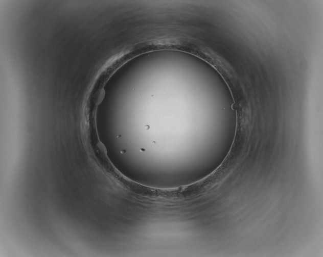 X0000111790727200907231142