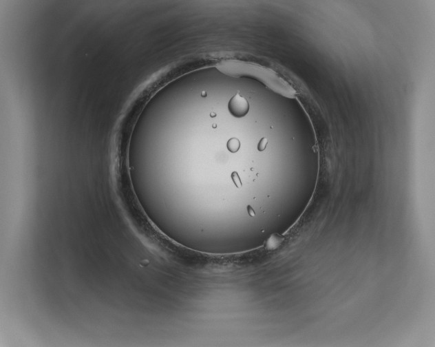 X0000111790728200907231142