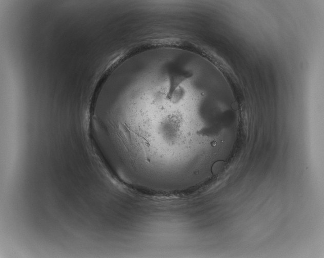 X0000111790729200907231142