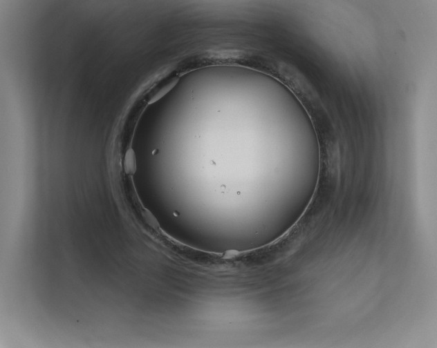 X0000111790731200907231142