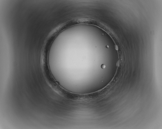 X0000111790732200907231142