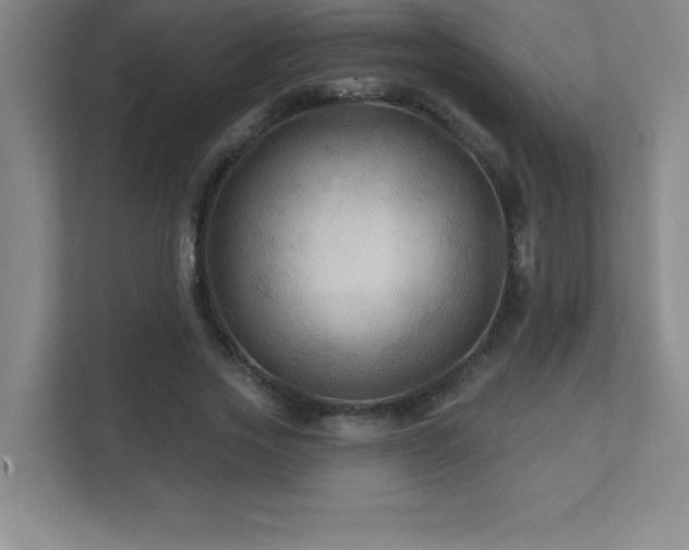 X0000111790733200907231142