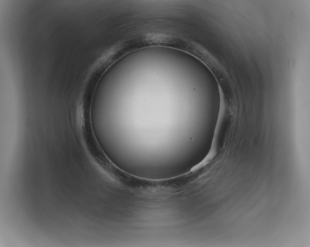 X0000111790734200907231142