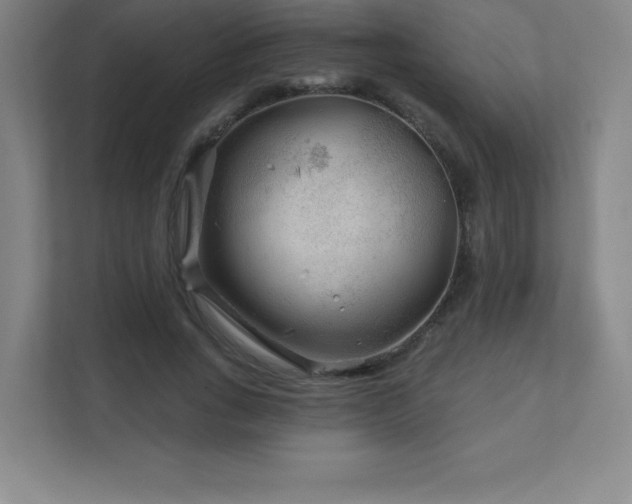 X0000111790735200907231142