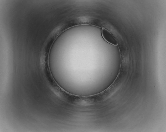 X0000111790736200907231142