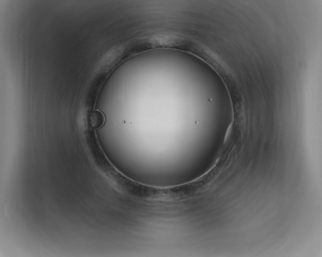 X0000111790738200907231142