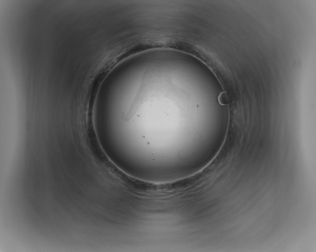 X0000111790739200907231142