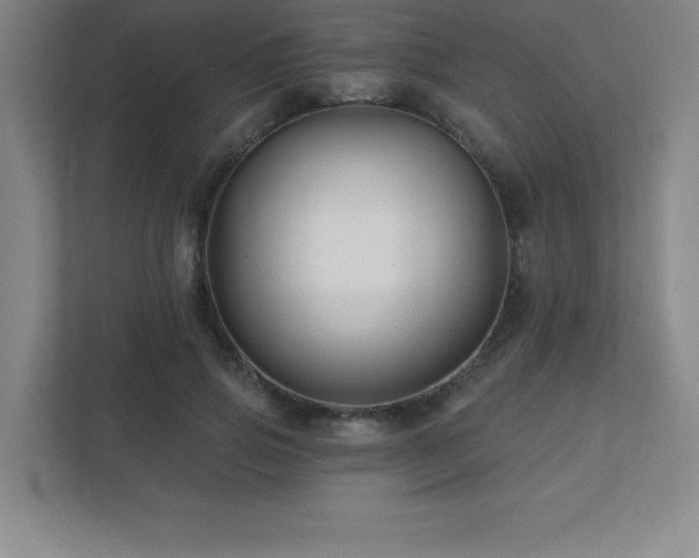 X0000111790741200907231142