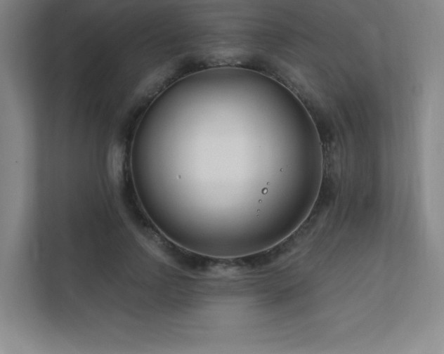 X0000111790742200907231142