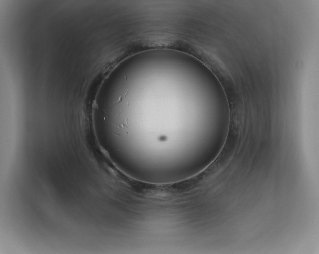 X0000111790743200907231142