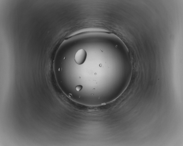 X0000111790744200907231142