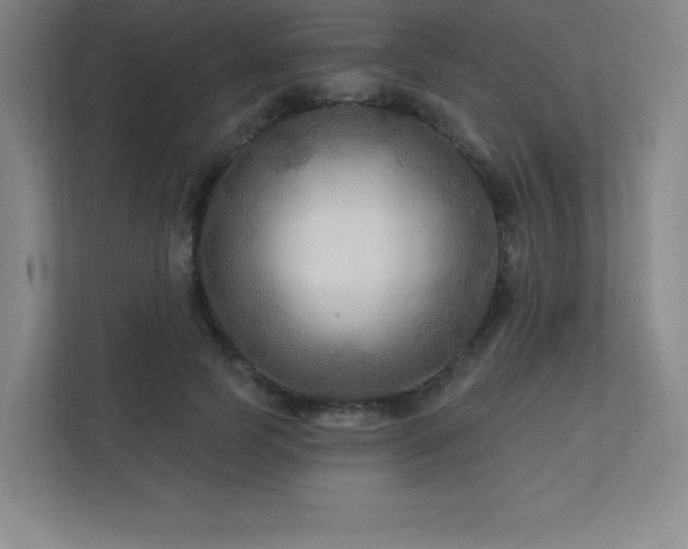 X0000111790745200907231142