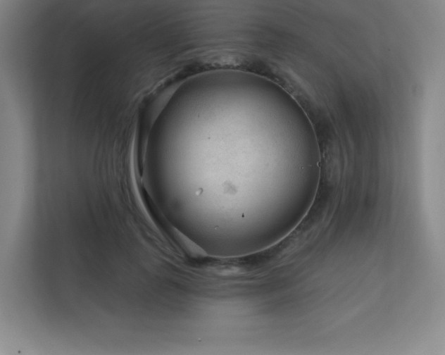 X0000111790747200907231142