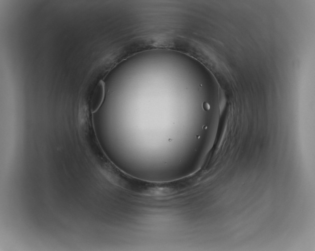 X0000111790748200907231142