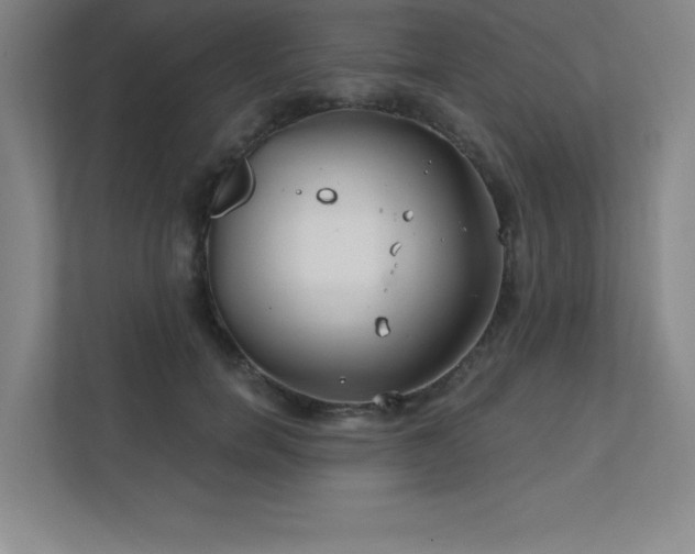 X0000111790750200907231142