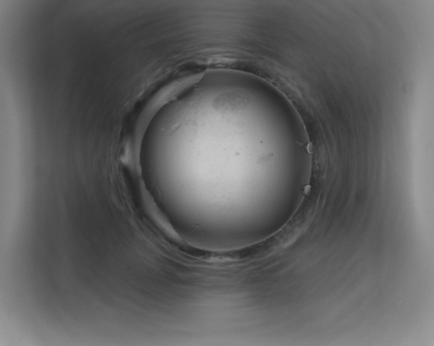 X0000111790751200907231142