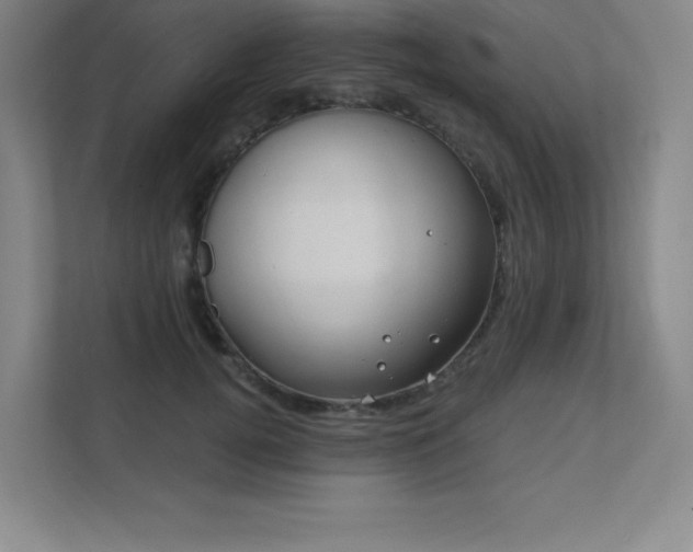 X0000111790752200907231142