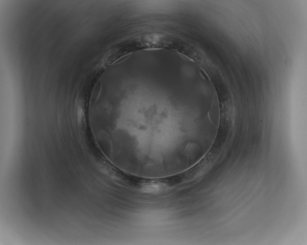 X0000111790754200907231142