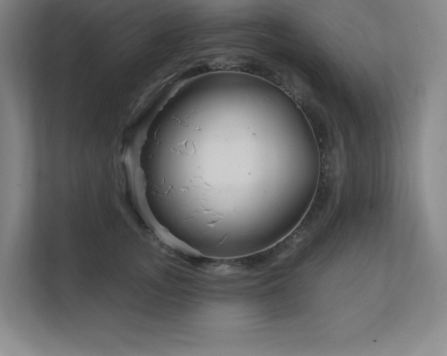 X0000111790755200907231142