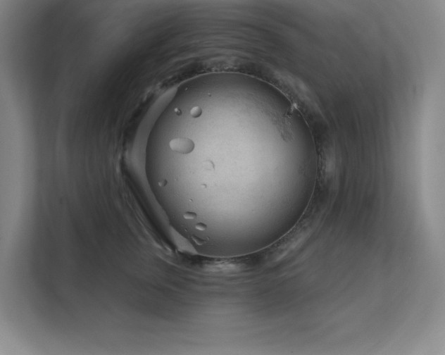 X0000111790759200907231143