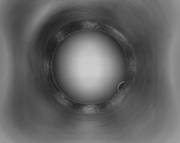 X0000111790761200907231143