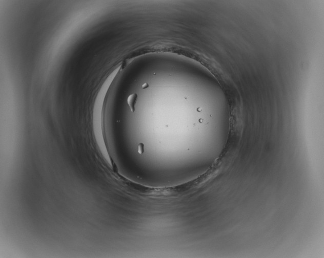 X0000111790762200907231143