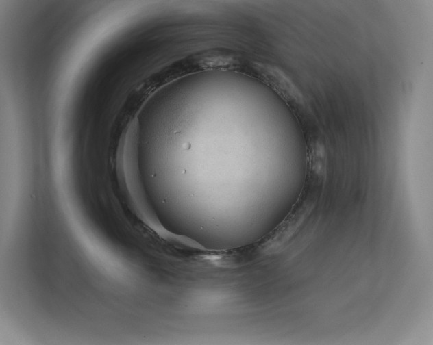 X0000111790763200907231143