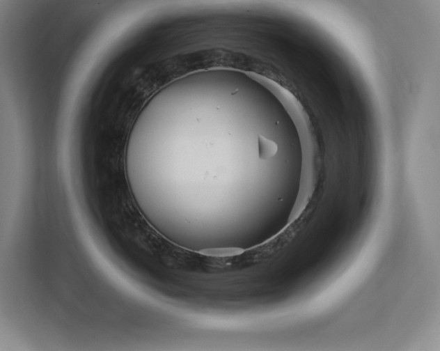 X0000111790766200907231143