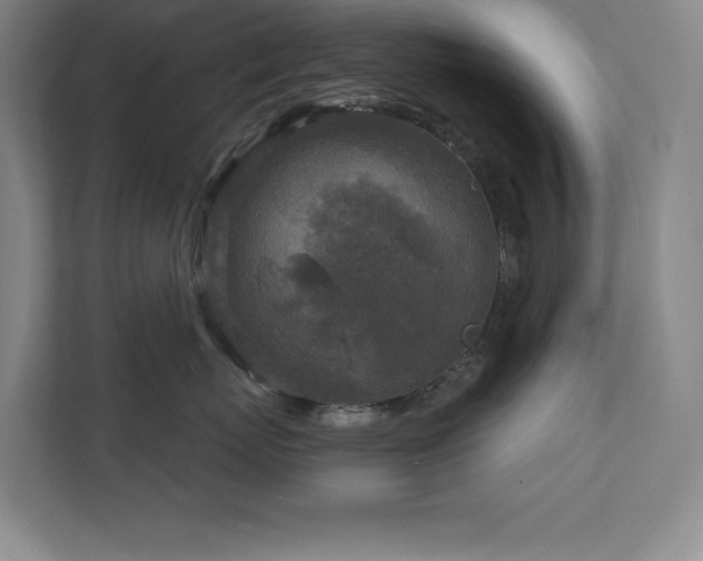 X0000111790767200907231143